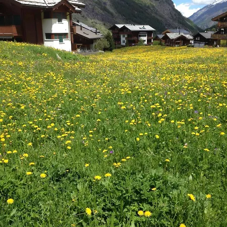 Haus Solvay Mit Freier Matterhornsicht Apartment Zermatt Exterior photo